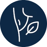 cong-dung-3_png